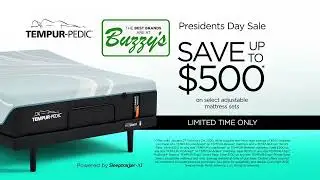 BUZZY'S: Prez Day MATTRESS SALE