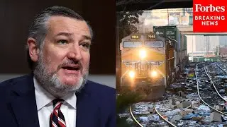 Ted Cruz Asks Witness What Congress Can Do To Help Stop Freight Theft