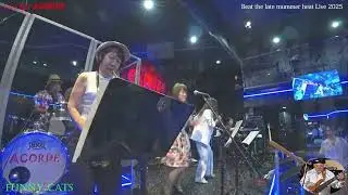 06 Sunny(Boney.M)   Funny Cats  ～ Beat the late summer heat Live 2025 in ACORDE bass overdubbed