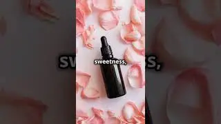 DIY Perfume: How to Make Your Own Signature Scent at Home