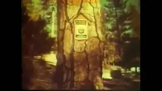 Vintage Forest Fire Prevention Twilight Zone PSA