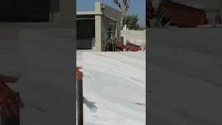 IC 123 | Makrana Dungri Marble | Vijay Joshi Makrana | Makrana Albeta Marble | Albeta | #shorts