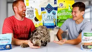 What's the best dog treat?! Dog Taste Test