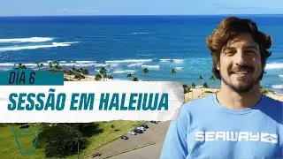 Primeira vez em Haleiwa e o melhor rango do north shore | Diário do Havaí | Canal OFF