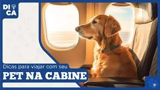 3 DICAS PARA A HORA DE VIAJAR NA CABINE