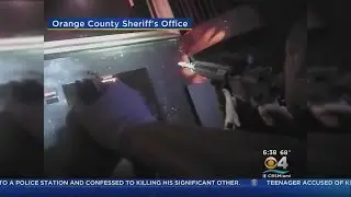 Body Cam Video Of Pulse Massacre Released