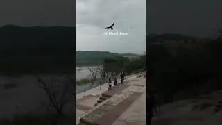 Romantic View Jalmahal Jaipur || Lake Palace Jaipur || Rajasthan #Shorts