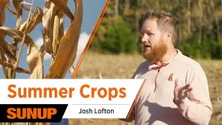 Strong Summer Harvest! 🌻 OSU&rsquo;s Josh Lofton on Oklahoma&rsquo;s Crop Success