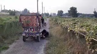 Uttara #Sector no-16 block no- i   Roa#plot no-11