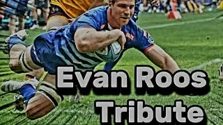 Evan Roos Tribute - Toughest Stormers & Springbok 8th man Rugby 🏉 Player - Hits, Fights & Tries