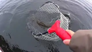 Dragon Lake, BC Spoon Fishing for Rainbows