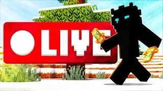 Donut SMP Live | Rating Base | Wagering/Gambling | Mc clubs party's