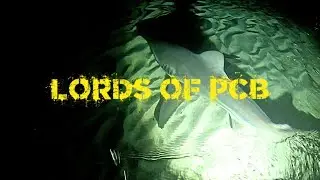 Shark Fishing Full Moon Mayhem - Lords of PCB catch 3 huge sharks in One Night - LBSF Style - PCB FL