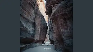 Ambition