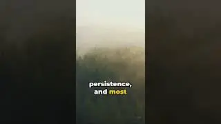Success Nuggets 2