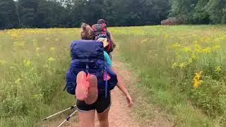 Day 110 Sharon Mountain Camp Site to Sages Ravine Camp Site