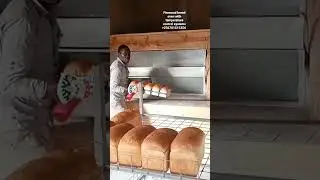 firewood bread oven