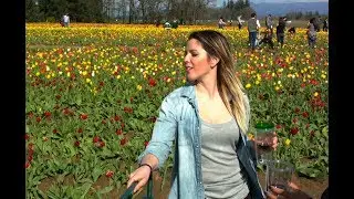 Top Festival In Woodburn Oregon