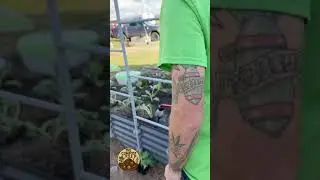 Overhead Watering? | Here's Why Not!