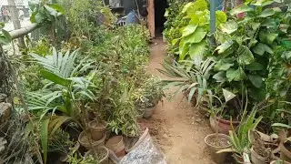 Aj papa ke sath neti jeti ke pull par gye l#follow #comedy #subscribe #youtube #vlogs #like #share