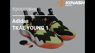 Баскетбольные кроссовки Adidas TRAE YOUNG 1. Обзор за 30 секунд.