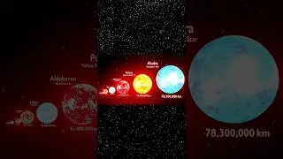 🌟Stars Size Comparison