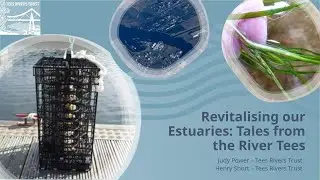 CASaV - Tees Rivers Trust/Revitalising Estuaries:Tales from the River Tees- Judy Power & Henry Short