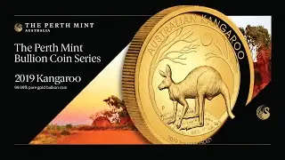 Close up look at 2019 Australian Kangaroo gold bullion coins