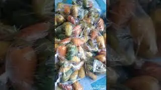 Fresh BUWA/PHILIPPINE NATIVE FRUIT for Betel Nut /For  Business /#J Lay Channel