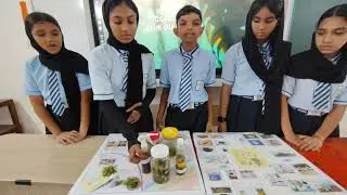 Oceanic Oasis#viksitbharatbuildathon #yuvacreates #bharatinnovates @Eduminofindia 