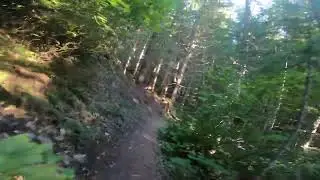 Mt St Helens Ape Canyon - Mountain Bike Bend - Down Hill on this amazing trail