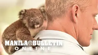 Race to save animals on Australia&rsquo;s fire-ravaged &lsquo;Galapagos&rsquo;