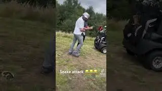 Snake attack at golf #lmao #snake #funny