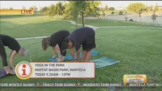 Yoga in the Park