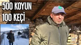 500 KOYUN ve 100 KEÇİ İLE BABA MESLEĞİNİ DEVAM ETTİREN FAZLI ABİNİN HİKAYESİ