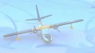 Albatross im Schnee GoPro streikt