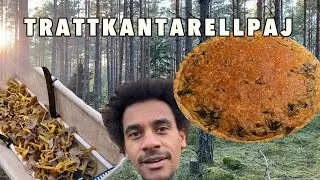 Trattkanterellpaj