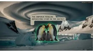 Embrace the Cold: Life Lessons from the Emperor Penguin