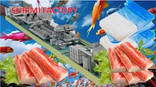From Fish to Surimi: How It&rsquo;s Made and What Goes Into It