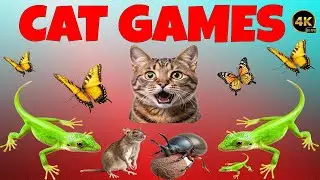 CAT Games | Ultimate Cat TV Lizard, Mouse and Butterflies Compilation 🪲 🦋 | Videos For Cats to Watch