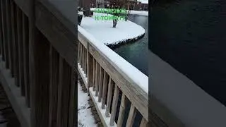 Snow day in Houston,tx #snow #snowfall #houston