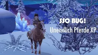 Unendlich Pferde XP! 😱 | SSO Bug, Winterdorf | Anita Dreamwill