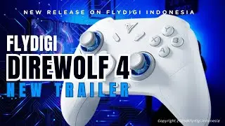 FLYDIGI DIREWOLF 4
