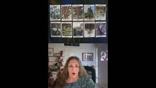 What Next for US/Ukraine/Russia/Europe? #oraclecards #politicaltarot #channeling