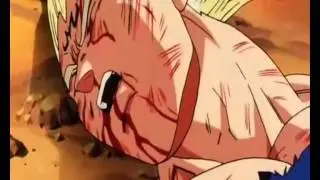 Vegeta - The Reason