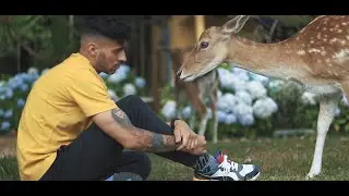 Xoto - Carpe Diem