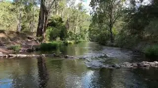 Howqua River in 4K - Sheepyard Flat, Victoria - 9 Feb 2023