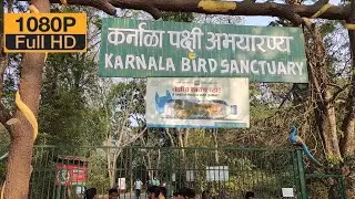 कर्नाळा पक्षी अभयारण्य | Karnala Bird Sanctuary |Marathi Travel Vlog | Rajendra Bhusara Vlog |