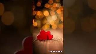 love##chaken mifa