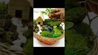 Moss garden | #shorts | #shortvideo | #artandcraft | #mossgarden | #terrarium #artandcraft